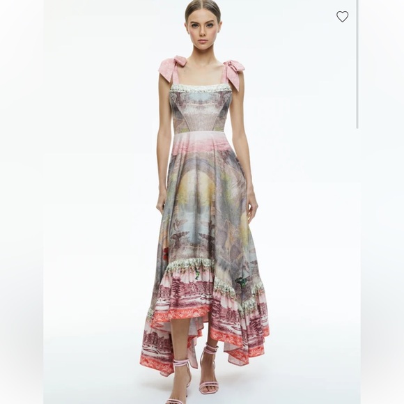 NWOT Alice + Olivia Rosalee Tie Strap Bustier Maxi Dress - Picture 2 of 7